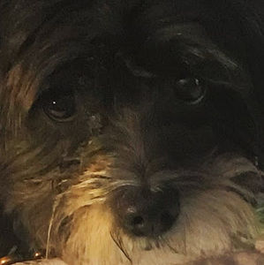 Meet your Posher, Sketchline